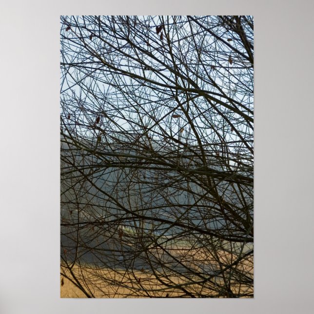 Poster Abstrato Natureza (Frente)