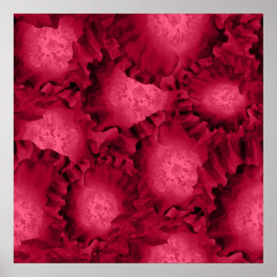 Poster Abstrato rosa vermelha flores de papoila floral ro