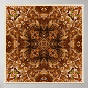 Poster Abstrato seco 16 dos Husks de milho