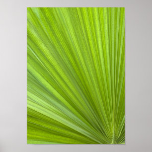 Poster Abstrato Tropical Palm Frond