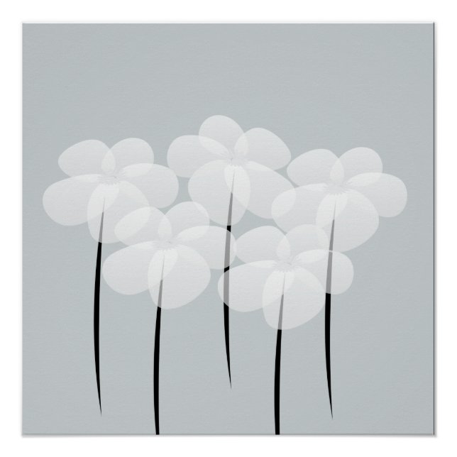 Pôster Abstrato White Anemones Poster (Frente)