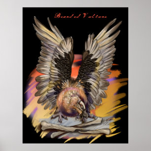 Poster Abutre-barba
