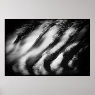 Pôster abutres caídos