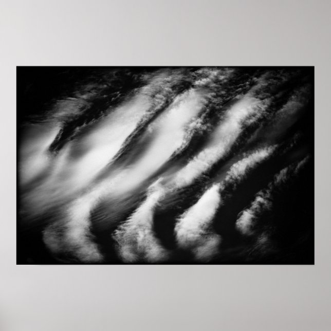 Pôster abutres caídos (Frente)