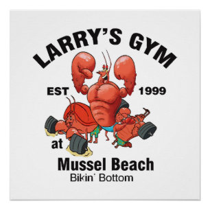 Pôster Academia do Larry na Praia de Mexilhão