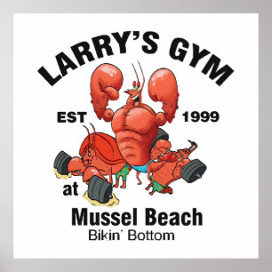 Poster Academia do Larry na Praia de Mussel