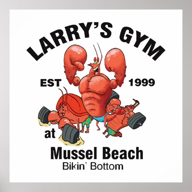 Poster Academia do Larry na Praia de Mussel (Frente)