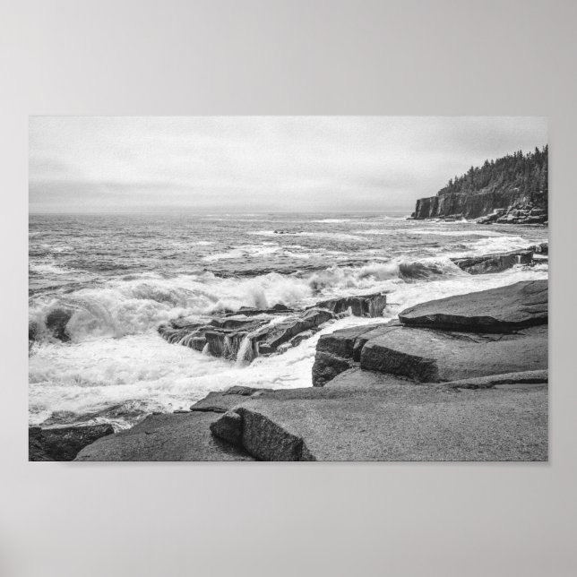 Poster Acadia Rocky Coastline in Maine Black and White (Frente)