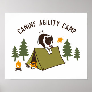 Poster Acampamento de Collie de Borda Cachorro de Agilida