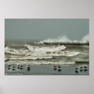 Pôster Ação Wave nº 1