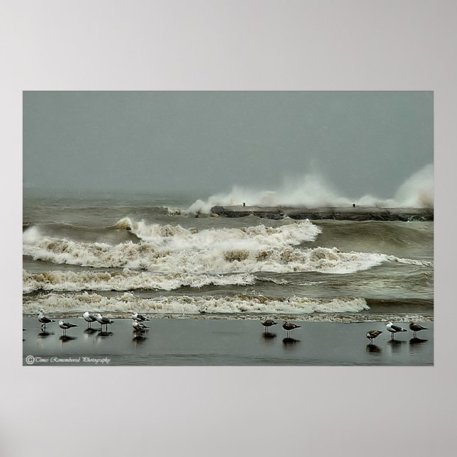 Pôster Ação Wave nº 1 (Frente)