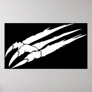Poster Ace Combat Strider 1