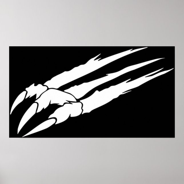 Poster Ace Combat Strider 1 (Frente)