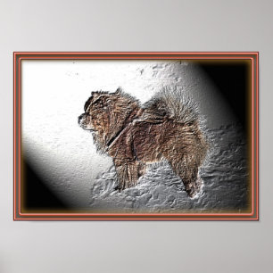 Pôster Acidente geográfico Ama