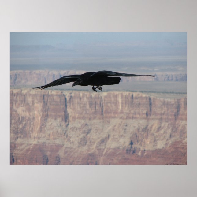 Poster Acima de tudo (Frente)