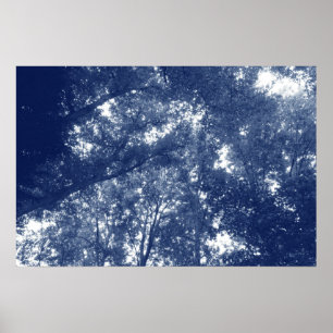 Poster Acima nas árvores - efeito de Cyanotype