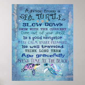 Poster Aconselhamento De Uma Tartaruga Marinha Costeira