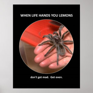 Poster Aconselhamento Engraçado Não fique louco