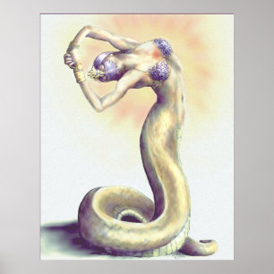 Poster Acordando o Naga