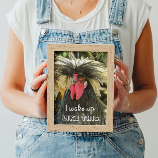 Poster Acordei Como Um Mau Chicken Meme De Cabelo (In Situ Framed)