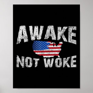 Poster Acordou, Mas Não Acordou Nos Eua 4 De Julho Patrio