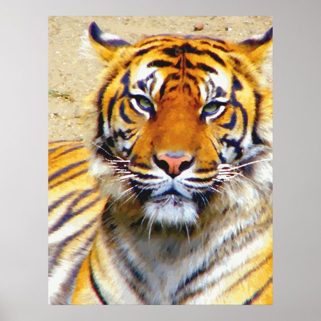 Pôster Acredita_Poster (Frente)