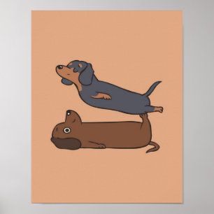 Poster Acroyoga Dachshund Presente de Dachshund Lover