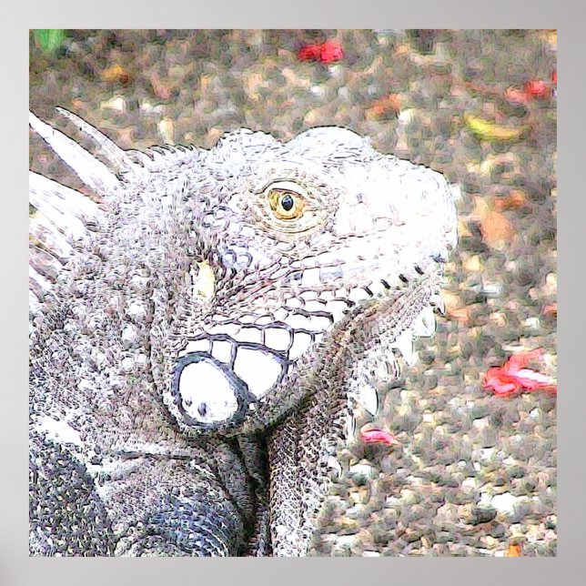 Poster ACrt Iguana (Frente)