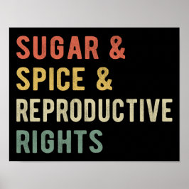 Poster Açúcar & Especiarias & Direitos Reprodutivos I