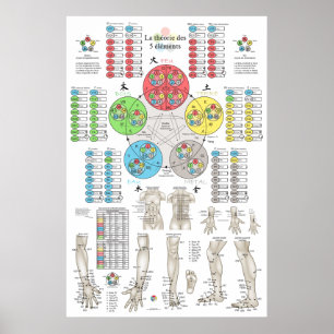 Poster Acupuntura dos Cinco Elementos Francesa
