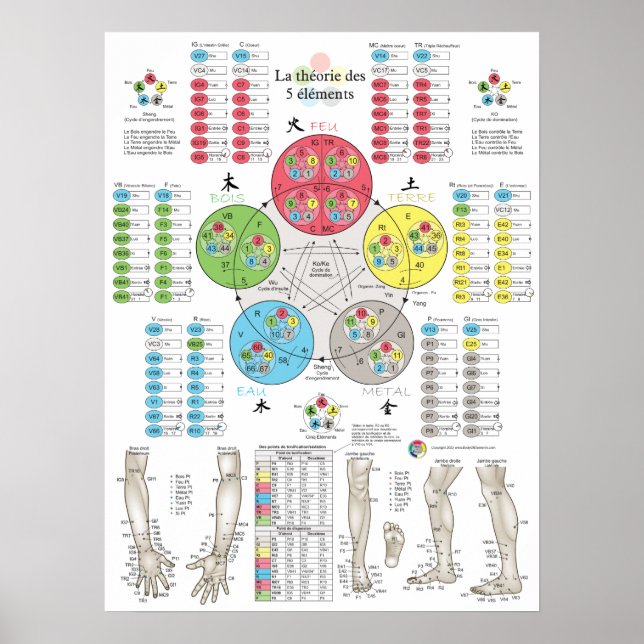 Poster Acupuntura dos Cinco Elementos Franceses (Frente)
