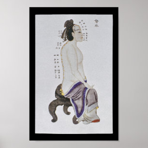 Pôster Acupuntura Du Mai Meridian Channel