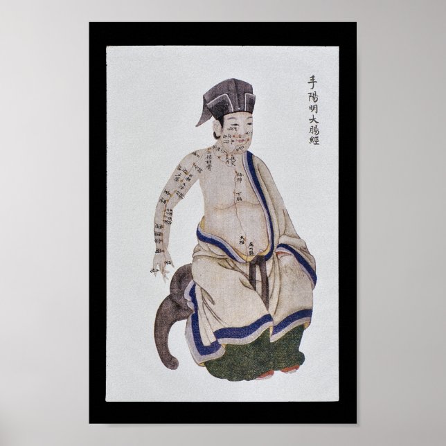 Poster Acupuntura Grande Intestina Meridian Yangming (Frente)