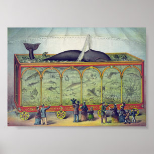 Poster Ad Aquário Vintage