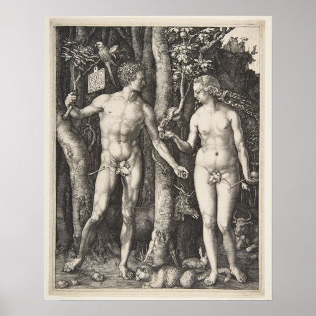 Pôster Adam e Eve, 1504 (Frente)