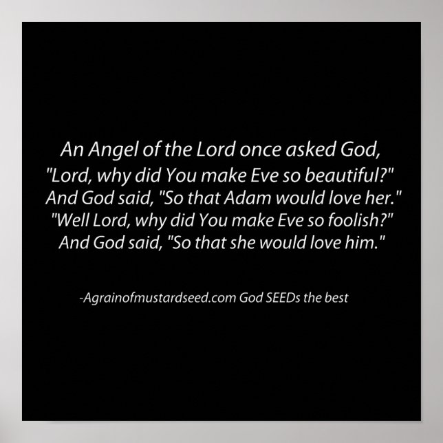 Poster Adam e Eve Divertidos Cristão (Frente)