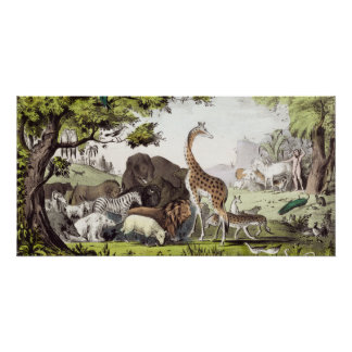 Pôster Adam Nomeia as Criaturas