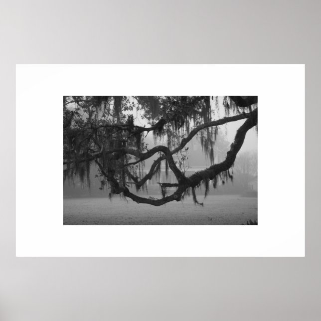 Pôster Addis House (Frente)