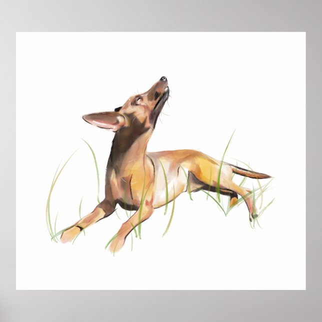 Poster Adesivo do Pinscher Miniatura (Frente)