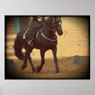 Poster Adestramento ideal do frisão do cavalo