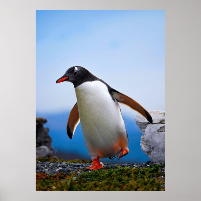 Poster Adicione Seus Próprios presentes personalizados do (Frente)