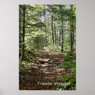 Poster Adirondack Path