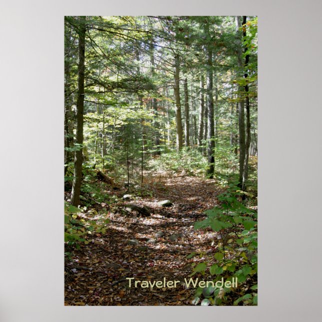 Poster Adirondack Path (Frente)