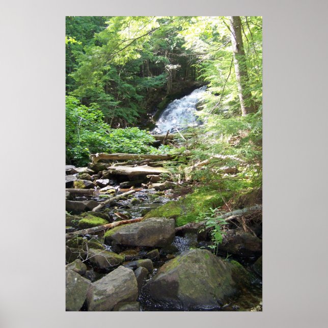 Pôster Adler Falls (Frente)