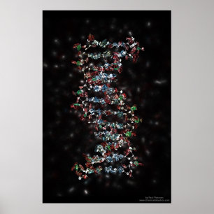 Poster ADN Jewelled