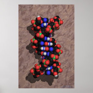Poster ADN na pedra
