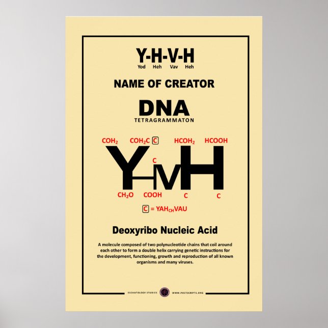 POSTER ADN-YHVH (Frente)