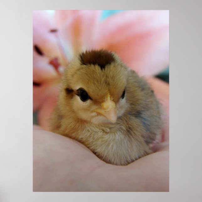 Pôster Adolescente na mão (Frente)