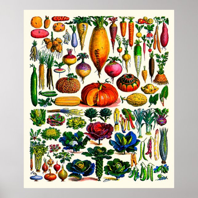 Poster Adolphe Millot ~ Vegetais (Frente)