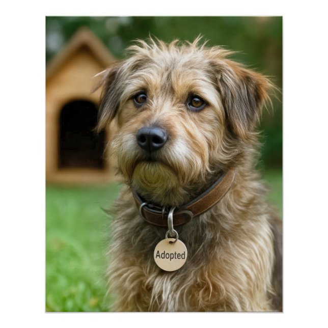 Pôster Adopted Scruffy Dog With Dog House (Frente)